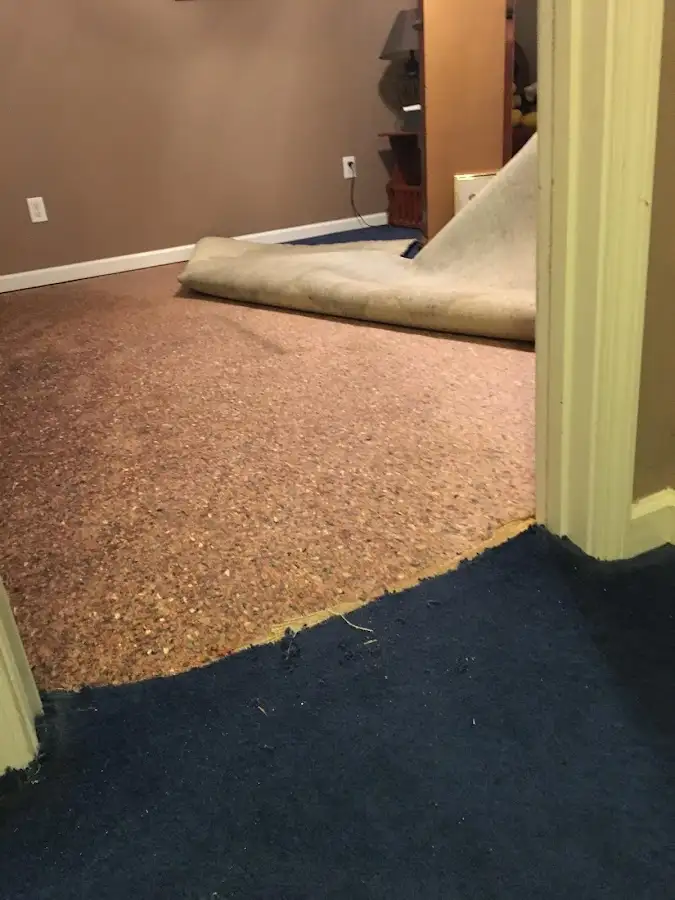 Carpet pad removal revealing water damage during Water Mitigation Services in West Norriton