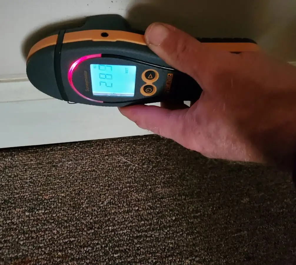 Moisture detection at baseboard during Sewage Cleanup & Sanitation in West Norriton